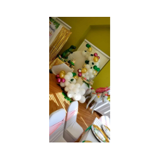 Gender Reveal Dinosaur And Unicorn Party