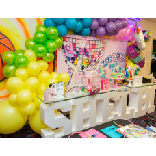 Magical Unicorn Party