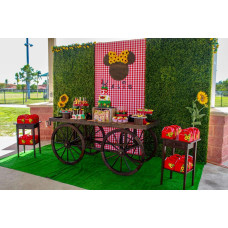 Minnie Mouse Party