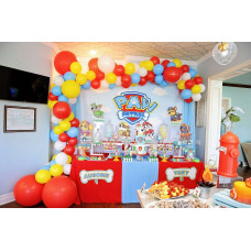 Paw Patrol Party