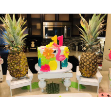 Pineapple And Flamingo Party