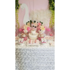 Swan Theme Party