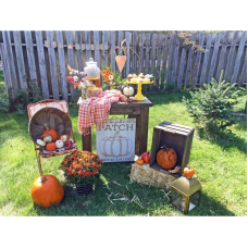Little Pumpkin Baby Shower Theme