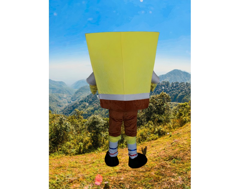 SpongeBob Mascot Costume – High-Quality Imported Suit (For Sale)