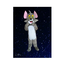 Tom Mascot Costume – High-Quality Imported Suit (For Sale)