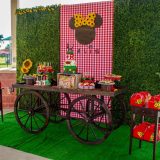 Minnie Mouse Theme Party Decoration