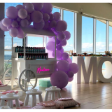 Elegant Unicorn Theme Party Decoration