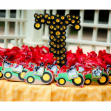 Farm / Barnyard Theme Party Decoration