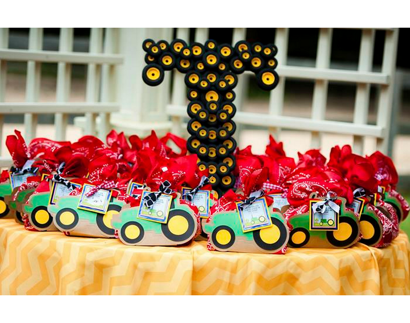 Farm / Barnyard Theme Party Decoration