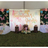 Butterfly Theme Party Decoration