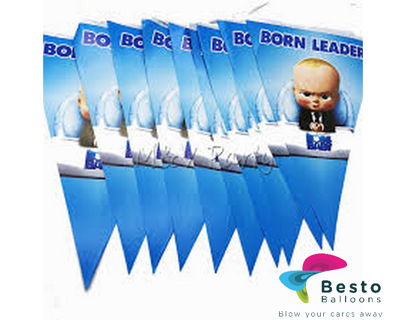 Boss Baby Buntings