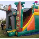 Jungle Inflatable Slides and Bouncing Combo Rental Service