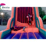 Inflatable Velcro Sticky wall Activity Rental Service