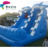 Dolphin Inflatable Slides and Bouncing Combo Rental Service